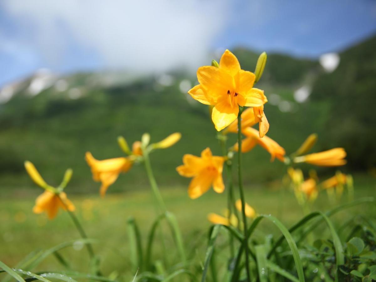 Otari Apprising Hotels Granjam Tsugaike מראה חיצוני תמונה